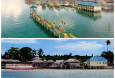 Mengungkap Sejarah Pulau Kapota: Warisan Maritim dan Perjalanan Peradaban di Wakatobi