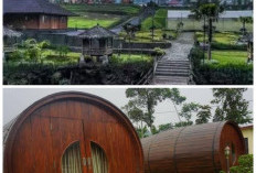 Cottage D’Las, Destinasi Menginap Bernuansa Alam di Desa Wisata Serang Purbalingga