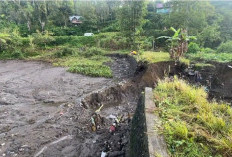 Tanggul Irigasi Bumi Agung Jebol, Ratusan Hektar Lahan Pertanian Terancam Tak Ada Pasokan Air