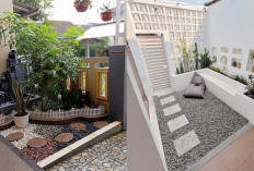 Inspirasi Desain Taman Teras yang Cantik dan Asri agar Rumah Terlihat Lebih Hidup!