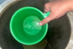 Rekam 723 Kasus DBD di Sumsel, Empat Pasien Dilaporkan Meninggal Hingga Maret 2026