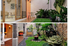 Taman Belakang Minimalis Modern: Desain Rapi, Perawatan Mudah, Tetap Esteti