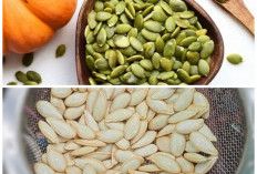 Manfaat Biji Labu untuk Kesehatan: Kaya Nutrisi dan Penuh Khasiat