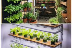 Inspirasi Kebun Vertikal untuk Rumah Kecil: Praktis, Hemat Tempat, dan Cocok untuk Pemula!
