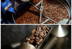 Maksimalkan Aroma dan Rasa! Cara Mengolah Biji Kopi serta Teknik Roasting yang Tepat
