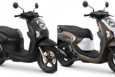 Review Honda Scoopy Terbaru 2026: Mesin eSP Makin Responsif, BBM Tetap Super Irit!