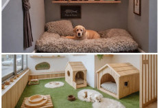 Rumah Nyaman untuk Semua! Ide Desain Pet-Friendly yang Rapi dan Aman bagi Si Kesayangan
