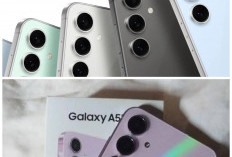 Rekomendasi Gadget 2026: Ini 6 HP Samsung Seri A Spesifikasi Canggih dengan Harga Paling Ramah Kantong!