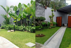 Inspirasi Desain Taman Bali yang Bikin Rumah Terasa Lebih Mewah!