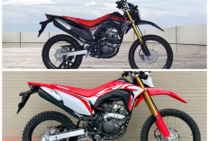 Honda CRF150L di Berbagai Medan: Ini Plus Minusnya untuk Jalan Raya dan Jalur Trail