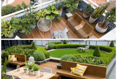 Rooftop Garden Minimalis: Ide Ruang Santai Keluarga yang Sejuk, Nyaman, dan Estetik