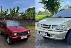Julukan 'Raja Diesel' Tak Pernah Luntur! Kenapa Isuzu Panther Bekas Masih Laris Manis dan Harganya Stabil?