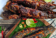 Trik Bikin Lele Bakar Teflon Rumahan Selevel Resto Gak Pakai Amis, Sambal Kecapnya Juara!