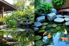 Model Kolam Ikan Teras Rumah Tidak Bau, Bikin Suasana Sejuk dan Nyaman!