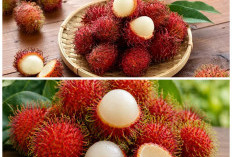 7 Manfaat Rambutan untuk Kesehatan, Buah Manis yang Kaya Nutrisi