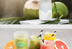 Rekomendasi 8 Minuman Herbal Aman dan Baik untuk Penderita Asam Lambung, Maag, serta GERD