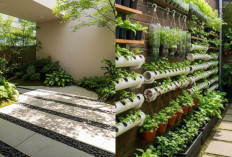 Model Kebun Mini di Sela Tembok Rumah, Bikin Rumah Lebih Sejuk!