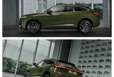 Siap Libas Segala Medan! Audi Q5 Sportback Hadir di Indonesia Bawa Jiwa Sporty dan Teknologi Canggih