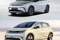 BYD Dolphin Makin Populer, Simbol Baru Gaya Hidup Gen Z