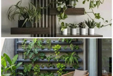 7 Ide Menata Pot Tanaman Rambat 2026: Cara Jenius Dekorasi Hunian Sempit Jadi Super Asri dan Mewah!