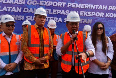 GoExport Sumsel Jadi Model Nasional, Gubernur : Ketelusuran Komoditas Itu Penting