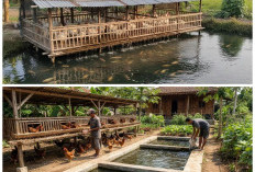 Satu Lahan Banyak Hasil! 5 Konsep Ternak Longyam untuk Cuan Maksimal dan Ramah Lingkungan