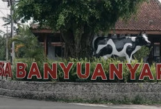 Intip Kisah Desa Banyuanyar, Desa Ramah Lingkungan yang Terus Maju Lewat Pemberdayaan Desa BRILiaN