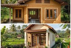 8 Inspirasi Rumah 4x8 Meter di Desa: Desain Minimalis, Estetik, dan Tetap Hemat Biaya