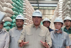 Stok Beras Tembus 5,1 Juta Ton, Bulog Harus Disiplin Jaga Kualitas