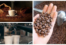 Dari Biji ke Cangkir: Tips Mengolah Kopi dan Teknik Roasting untuk Rasa Maksimal
