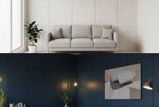 Rekomendasi 5 Warna Cat untuk Interior Triplek agar Rumah Terlihat Modern dan Nyaman