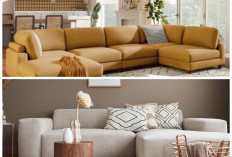 Sofa Modular Besar untuk Open Plan: 5 Keunggulan Furnitur Multifungsi yang Nyaman dan Adaptif