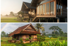 Tren Pondok Sawah 2026: 9 Desain Estetik yang Satukan Gaya Modern dan Nuansa Hijau Alami