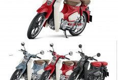 Honda Super Cub C125 2026 Resmi Hadir: Warna Baru Lebih Berkelas, Tetap Irit dan Halus!