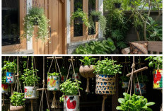 Sulap Teras Jadi Lebih Asri: 8 Ide Kebun Mini dengan Pot Gantung yang Praktis dan Hemat