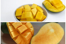 Selain Lezat, Ini Beragam Khasiat Mangga Arumanis yang Baik untuk Kesehatan