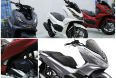 Update Harga Motor Seken: Honda PCX All Varian, Mulai Termurah hingga Premium