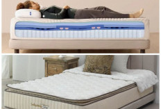 Punggung Lebih Nyaman Saat Tidur! Ini Tips Memilih Kasur Orthopedic Terbaik di 2026
