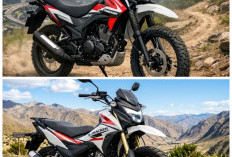 Alasan Honda X-Tracker 2026 Layak Jadi Motor Andalan untuk Harian dan Touring!