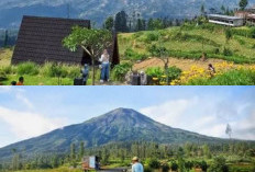 Bikin Betah Gak Mau Pulang! Intip Pesona Wisata Alam Temanggung yang Cocok Buat Self-Healing