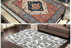 Bikin Tamu Terpukau! 7 Karpet Super Lembut untuk Ruang Tamu Mewah di Momen Lebaran