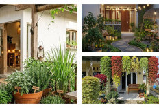 5 Ide Kebun Buah Mini di Halaman Depan Rumah Bergaya Taman Kafe untuk Lahan Terbatas