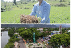 Desa BRILiaN Tompobulu: Bukti Nyata Sinergi Potensi Lokal dan Digitalisasi Dorong Pertumbuhan Ekonomi Berkelan