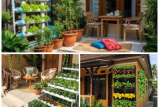 Inspirasi Teras Rumah Kecil dengan Taman Buah Mini, Lahan Sempit Bisa Jadi Kebun Produktif