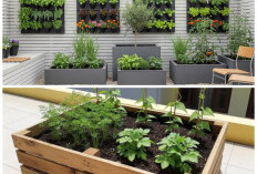 Halaman Kecil, Hasil Maksimal: Inspirasi Kebun Buah Mini yang Estetik dan Fungsional