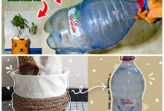 Kreatif dan Hemat! 8 Ide Daur Ulang Galon Bekas Lengkap dengan Cara Membuatnya