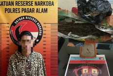Sembunyikan 0,8 Kg Ganja Siap Edar di Dapur, Pemuda Ini Diringkus Satres Narkoba