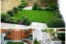 7 Inspirasi Taman Minimalis yang Bikin Rumah Terlihat Lebih Sejuk dan Elegan!