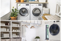 Bikin Betah Nyuci! 6 Rahasia Menata Ruang Laundry Minimalis di Lahan Sempit agar Tetap Rapi dan Estetik