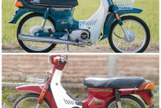 Motor Kapcai di Indonesia: Kenapa Motor Bebek Ringan Ini Tetap Digemari?